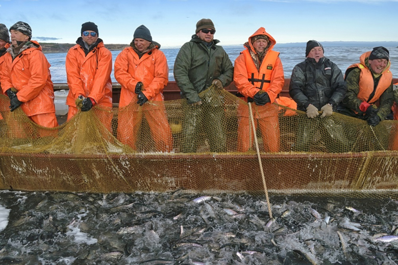 В России повысили сбор за добычу рыбы и морепродуктов